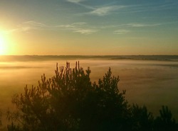 Petit matin sur le Gâtinais français