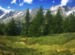 Tour du mont-blanc