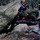 alz_climbing